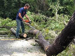 Best Commercial Tree Services  in Ballinger, TX