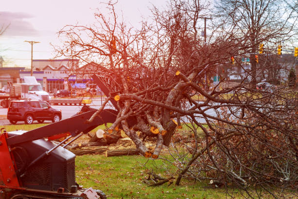 Best Utility Line Clearance  in Ballinger, TX